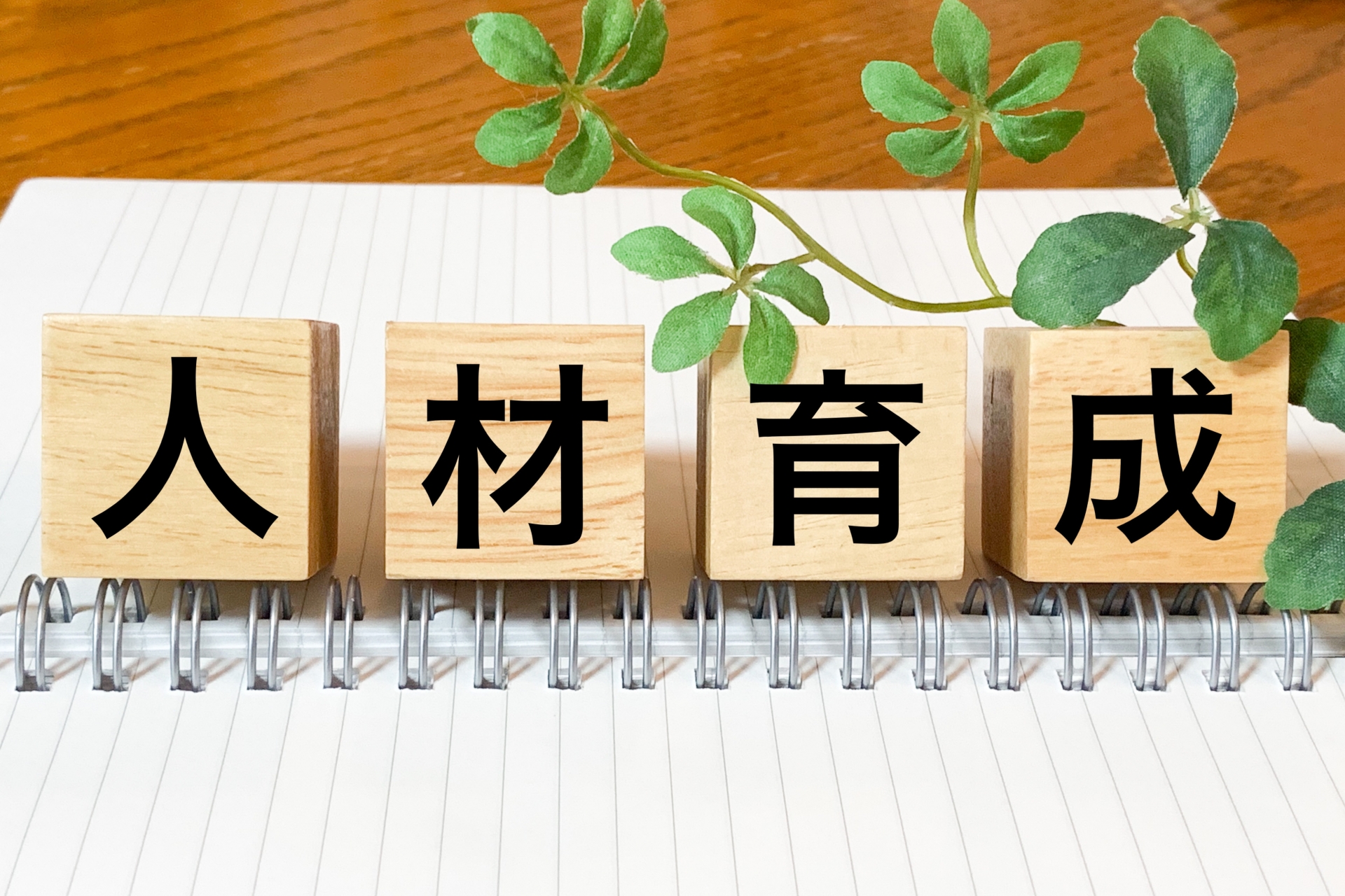 人材育成コンサルティングとは？活用するメリット・デメリットも解説 │ 識学×P-UP neo メディアサイト